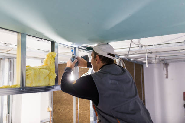 Best Crawl Space Insulation  in Port Byron, IL