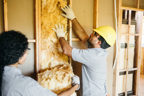 Best Spray Foam Insulation  in Port Byron, IL