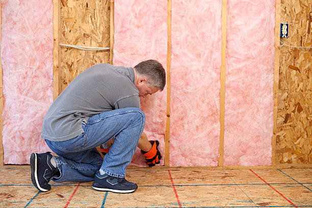 Best Batt and Roll Insulation  in Port Byron, IL